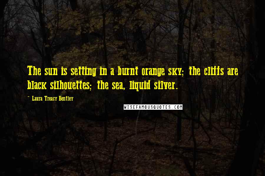 Laura Treacy Bentley Quotes: The sun is setting in a burnt orange sky; the cliffs are black silhouettes; the sea, liquid silver.