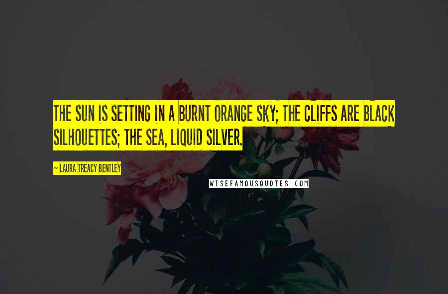 Laura Treacy Bentley Quotes: The sun is setting in a burnt orange sky; the cliffs are black silhouettes; the sea, liquid silver.