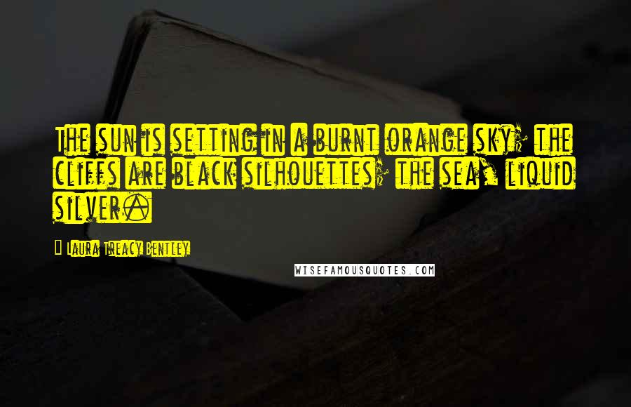 Laura Treacy Bentley Quotes: The sun is setting in a burnt orange sky; the cliffs are black silhouettes; the sea, liquid silver.