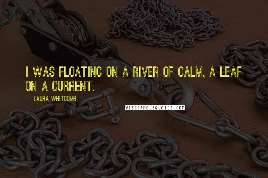 Laura Whitcomb Quotes: I was floating on a river of calm, a leaf on a current.