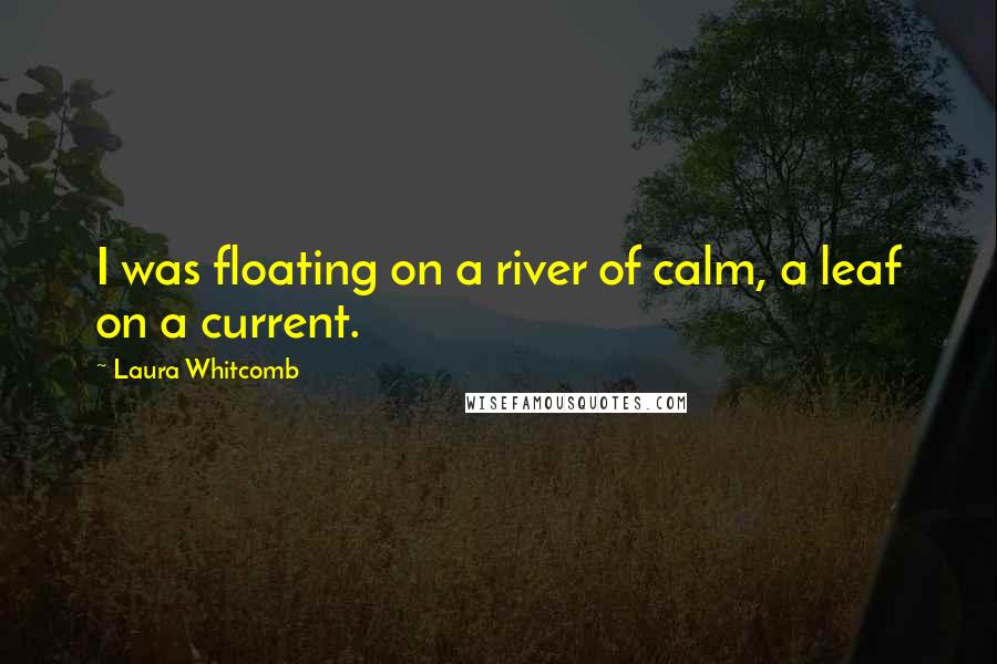 Laura Whitcomb Quotes: I was floating on a river of calm, a leaf on a current.