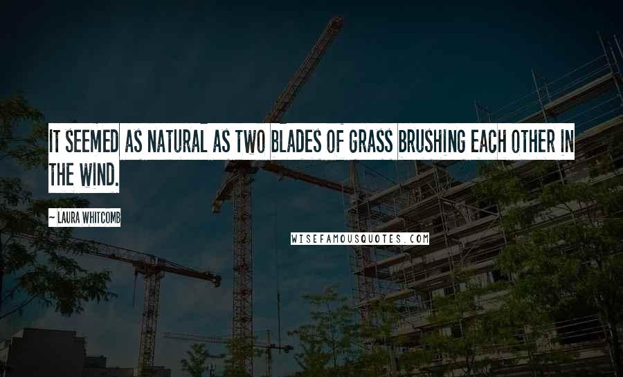 Laura Whitcomb Quotes: It seemed as natural as two blades of grass brushing each other in the wind.