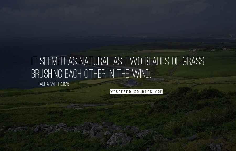 Laura Whitcomb Quotes: It seemed as natural as two blades of grass brushing each other in the wind.