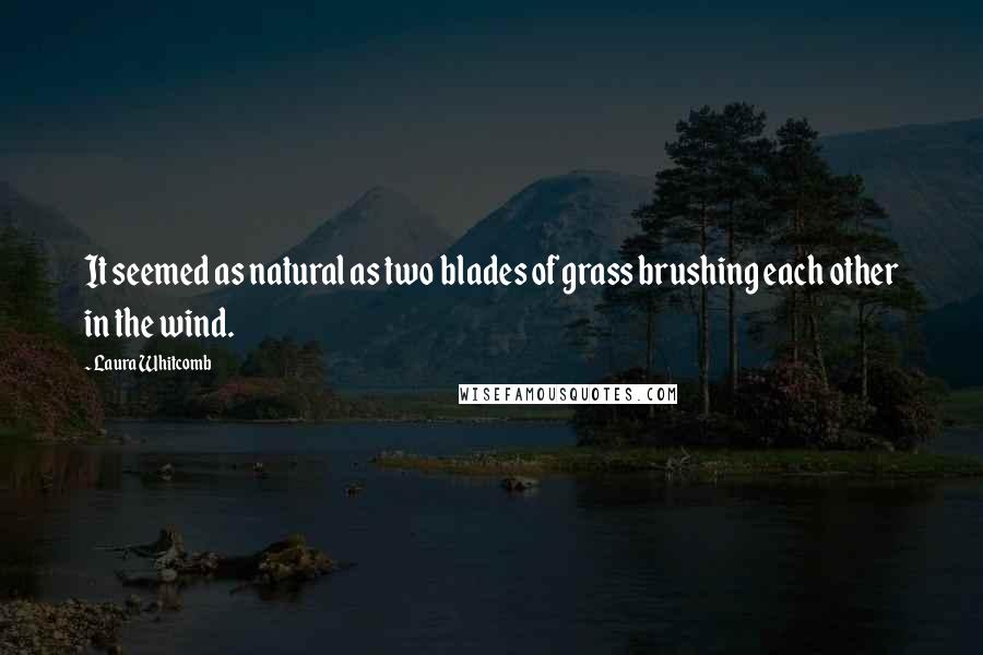 Laura Whitcomb Quotes: It seemed as natural as two blades of grass brushing each other in the wind.