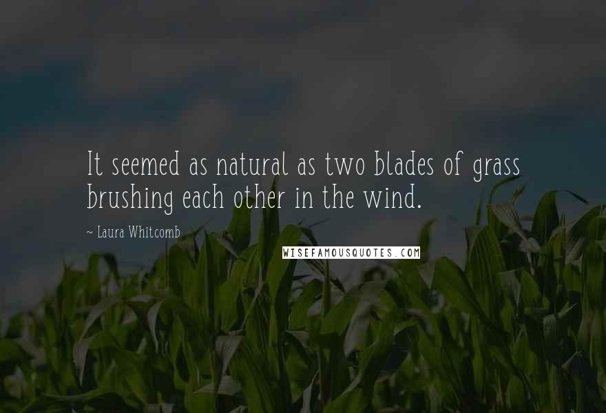 Laura Whitcomb Quotes: It seemed as natural as two blades of grass brushing each other in the wind.