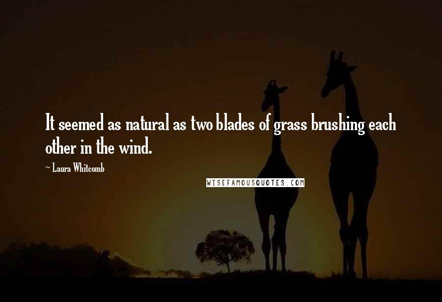 Laura Whitcomb Quotes: It seemed as natural as two blades of grass brushing each other in the wind.