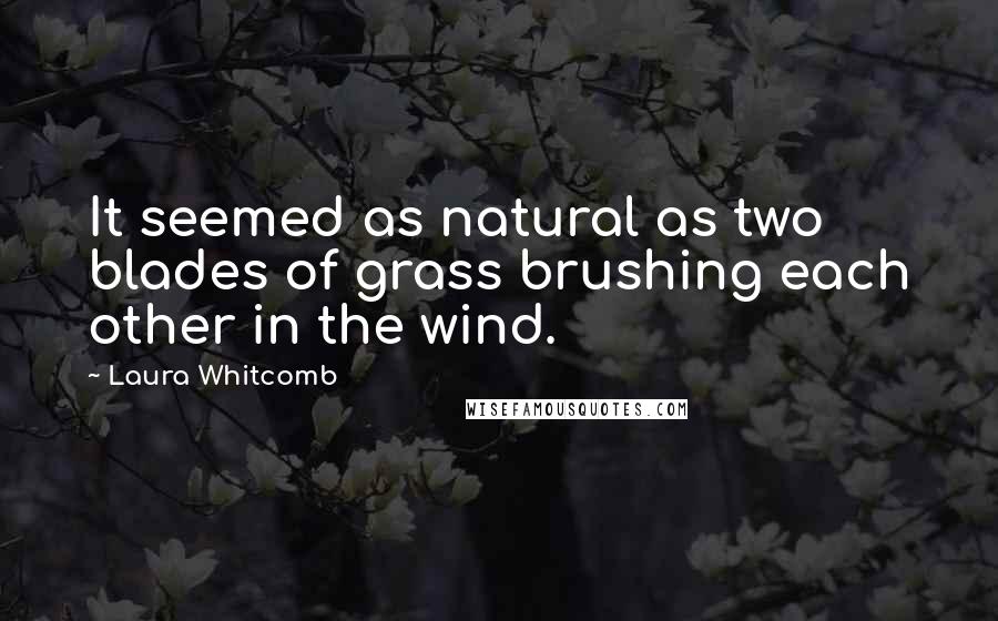 Laura Whitcomb Quotes: It seemed as natural as two blades of grass brushing each other in the wind.