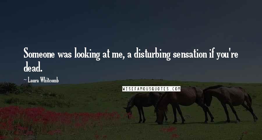 Laura Whitcomb Quotes: Someone was looking at me, a disturbing sensation if you're dead.