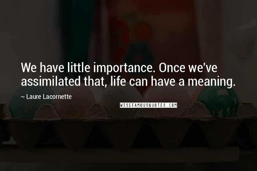 Laure Lacornette Quotes: We have little importance. Once we've assimilated that, life can have a meaning.