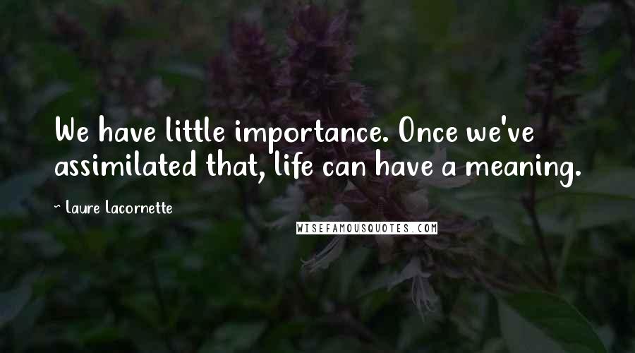 Laure Lacornette Quotes: We have little importance. Once we've assimilated that, life can have a meaning.