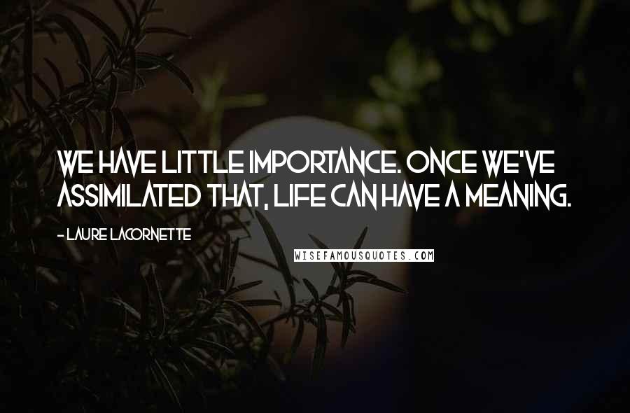 Laure Lacornette Quotes: We have little importance. Once we've assimilated that, life can have a meaning.