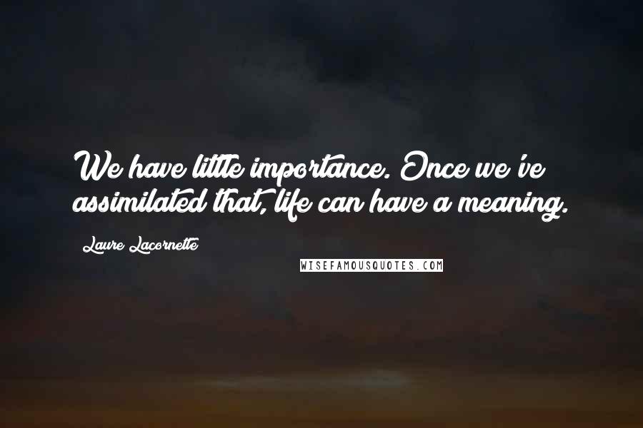 Laure Lacornette Quotes: We have little importance. Once we've assimilated that, life can have a meaning.