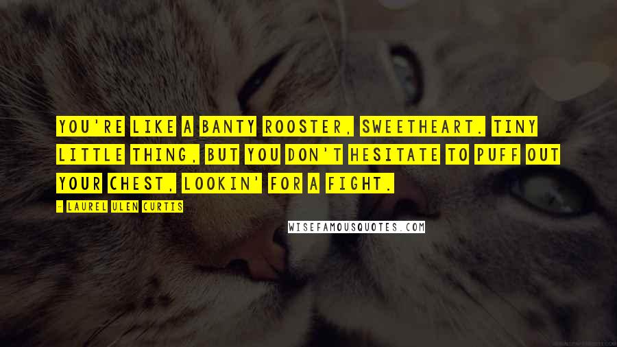 Laurel Ulen Curtis Quotes: You're like a Banty Rooster, sweetheart. Tiny little thing, but you don't hesitate to puff out your chest, lookin' for a fight.