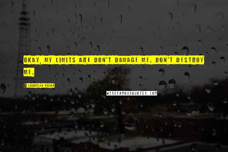 Laurelin Paige Quotes: Okay, my limits are don't damage me. Don't destroy me.