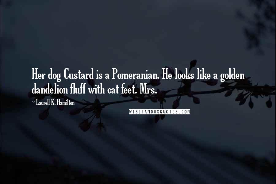 Laurell K. Hamilton Quotes: Her dog Custard is a Pomeranian. He looks like a golden dandelion fluff with cat feet. Mrs.