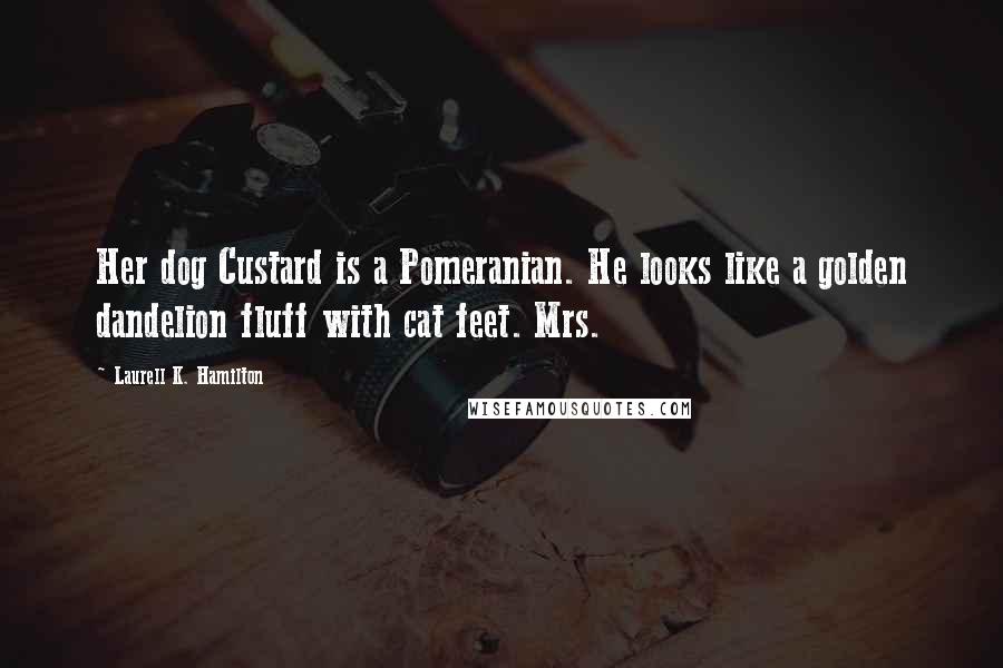 Laurell K. Hamilton Quotes: Her dog Custard is a Pomeranian. He looks like a golden dandelion fluff with cat feet. Mrs.