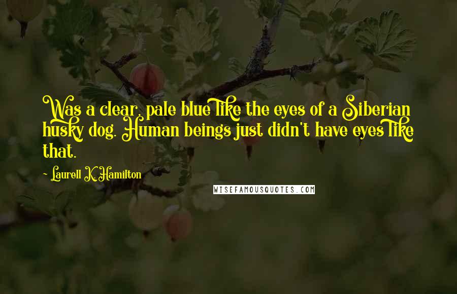 Laurell K. Hamilton Quotes: Was a clear, pale blue like the eyes of a Siberian husky dog. Human beings just didn't have eyes like that.