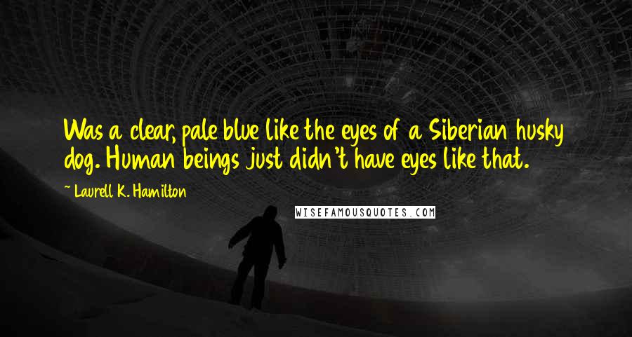 Laurell K. Hamilton Quotes: Was a clear, pale blue like the eyes of a Siberian husky dog. Human beings just didn't have eyes like that.