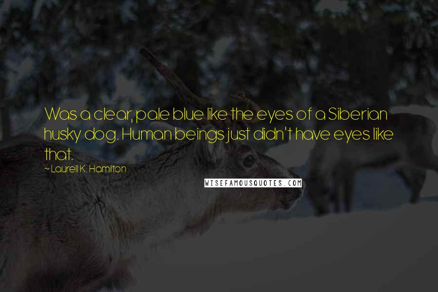 Laurell K. Hamilton Quotes: Was a clear, pale blue like the eyes of a Siberian husky dog. Human beings just didn't have eyes like that.