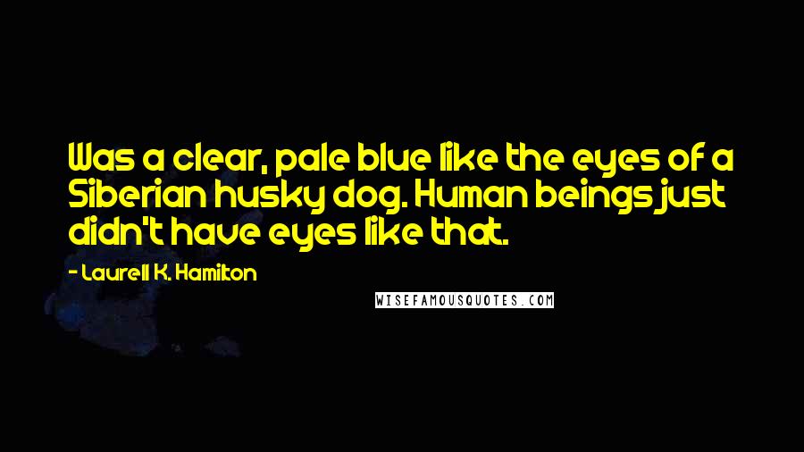 Laurell K. Hamilton Quotes: Was a clear, pale blue like the eyes of a Siberian husky dog. Human beings just didn't have eyes like that.