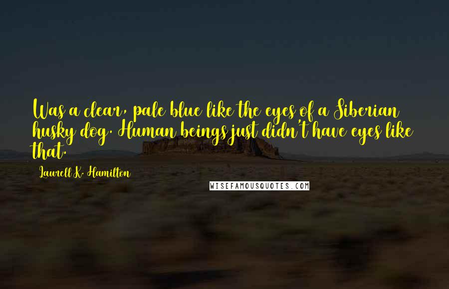 Laurell K. Hamilton Quotes: Was a clear, pale blue like the eyes of a Siberian husky dog. Human beings just didn't have eyes like that.