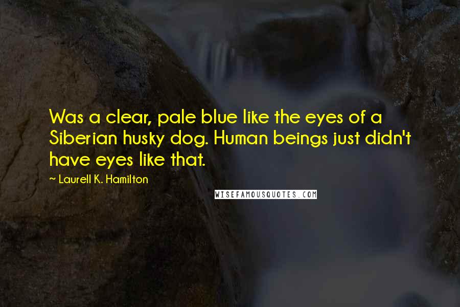 Laurell K. Hamilton Quotes: Was a clear, pale blue like the eyes of a Siberian husky dog. Human beings just didn't have eyes like that.