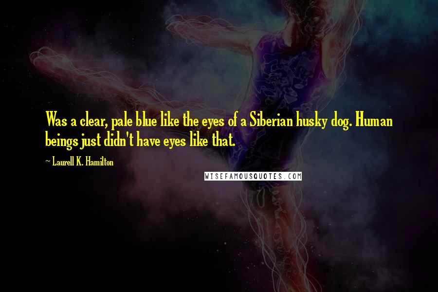 Laurell K. Hamilton Quotes: Was a clear, pale blue like the eyes of a Siberian husky dog. Human beings just didn't have eyes like that.