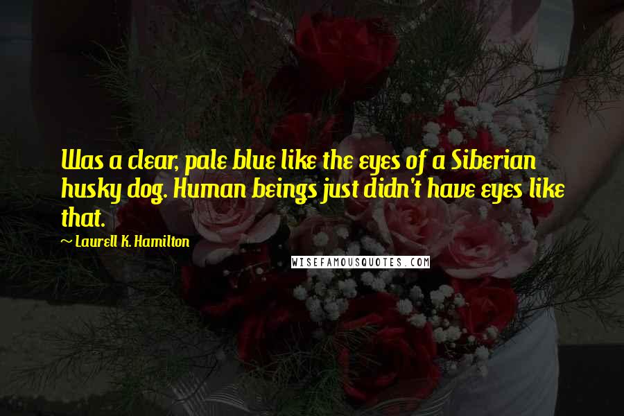 Laurell K. Hamilton Quotes: Was a clear, pale blue like the eyes of a Siberian husky dog. Human beings just didn't have eyes like that.