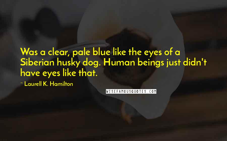 Laurell K. Hamilton Quotes: Was a clear, pale blue like the eyes of a Siberian husky dog. Human beings just didn't have eyes like that.