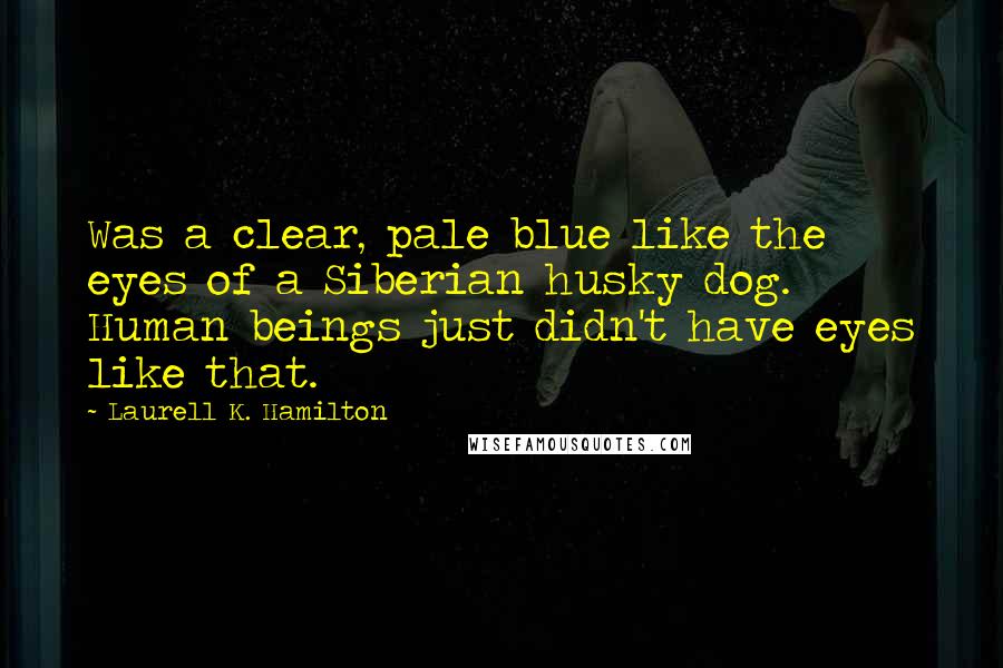 Laurell K. Hamilton Quotes: Was a clear, pale blue like the eyes of a Siberian husky dog. Human beings just didn't have eyes like that.