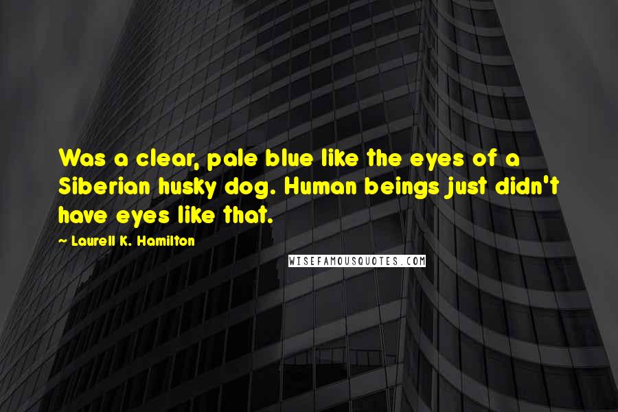 Laurell K. Hamilton Quotes: Was a clear, pale blue like the eyes of a Siberian husky dog. Human beings just didn't have eyes like that.