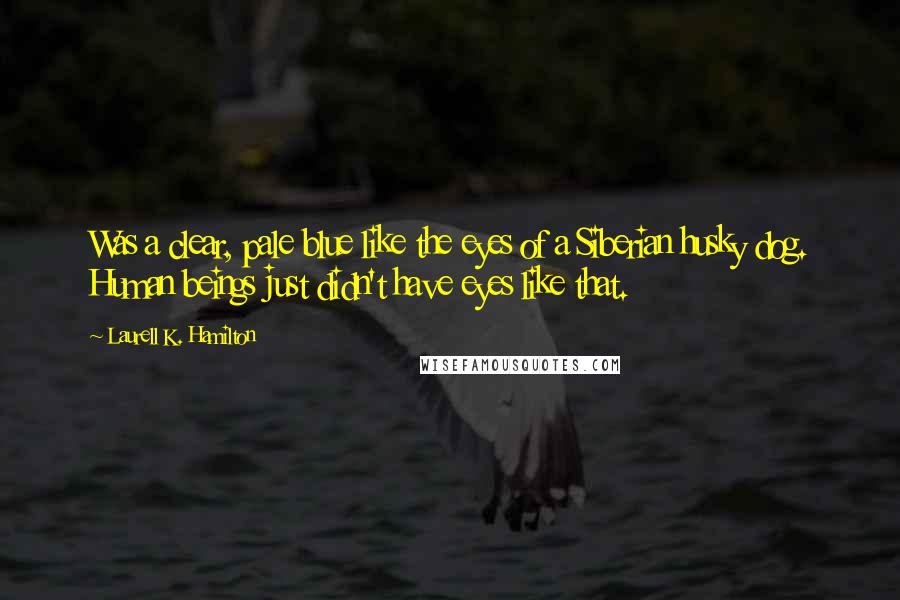Laurell K. Hamilton Quotes: Was a clear, pale blue like the eyes of a Siberian husky dog. Human beings just didn't have eyes like that.