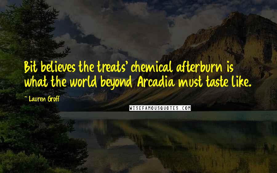 Lauren Groff Quotes: Bit believes the treats' chemical afterburn is what the world beyond Arcadia must taste like.
