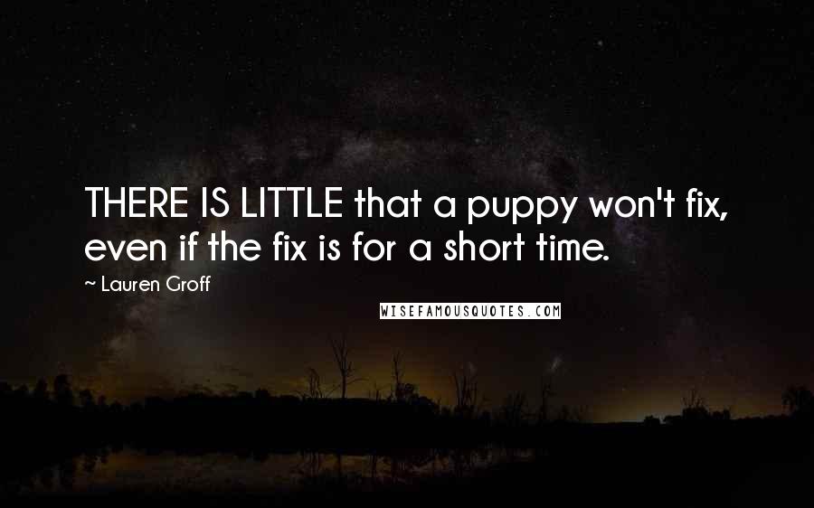 Lauren Groff Quotes: THERE IS LITTLE that a puppy won't fix, even if the fix is for a short time.