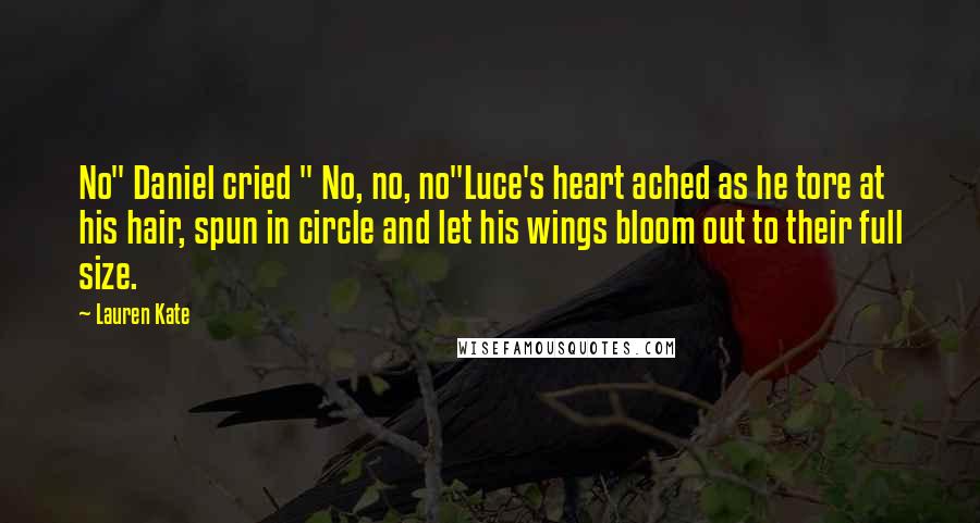 Lauren Kate Quotes: No" Daniel cried " No, no, no"Luce's heart ached as he tore at his hair, spun in circle and let his wings bloom out to their full size.