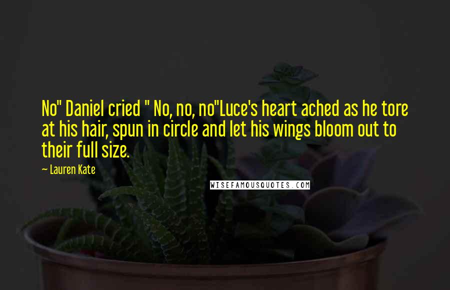 Lauren Kate Quotes: No" Daniel cried " No, no, no"Luce's heart ached as he tore at his hair, spun in circle and let his wings bloom out to their full size.