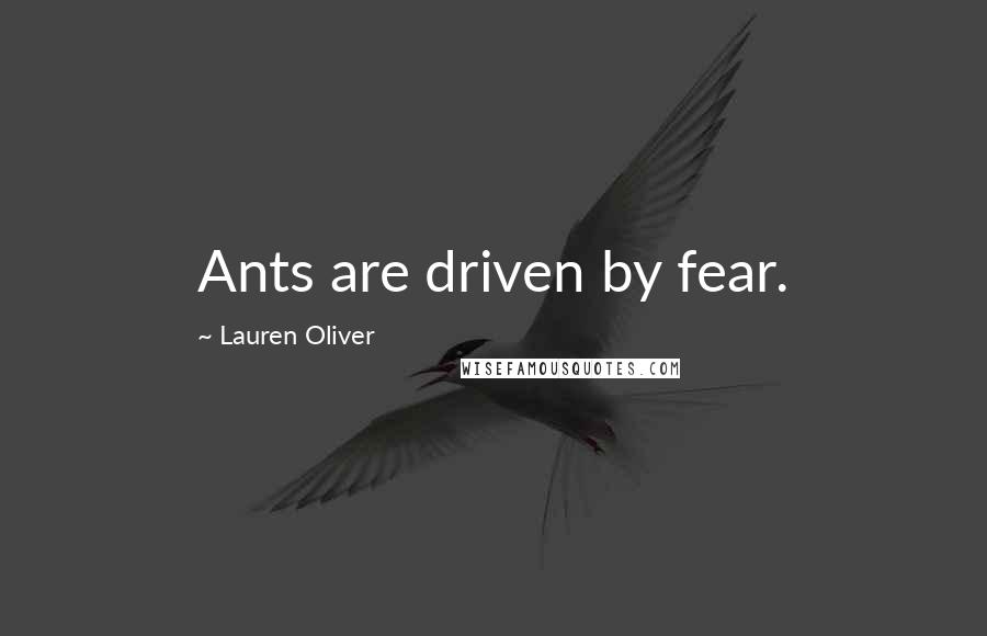 Lauren Oliver Quotes: Ants are driven by fear.