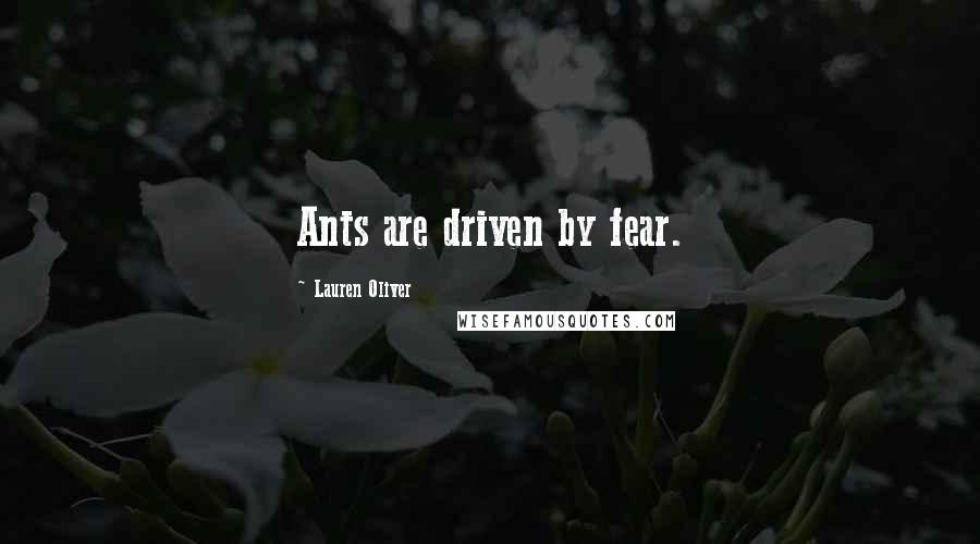 Lauren Oliver Quotes: Ants are driven by fear.