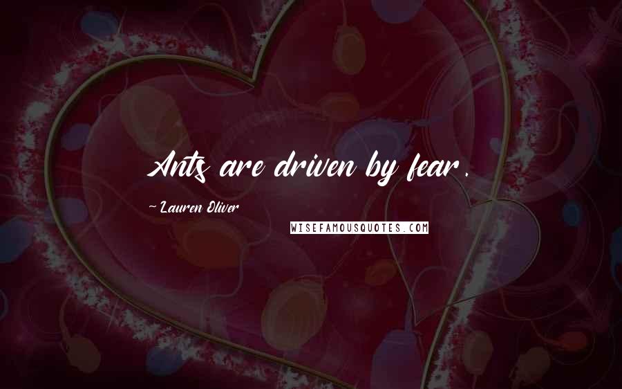 Lauren Oliver Quotes: Ants are driven by fear.