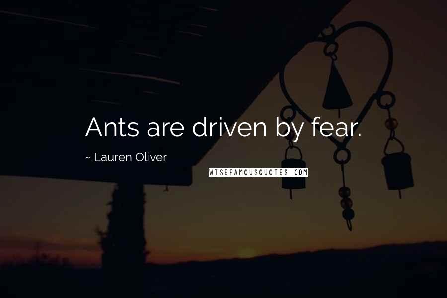 Lauren Oliver Quotes: Ants are driven by fear.