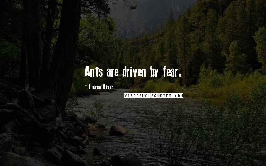 Lauren Oliver Quotes: Ants are driven by fear.