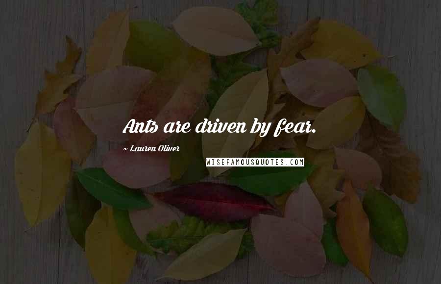 Lauren Oliver Quotes: Ants are driven by fear.