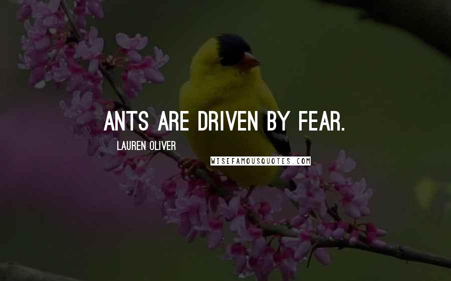 Lauren Oliver Quotes: Ants are driven by fear.