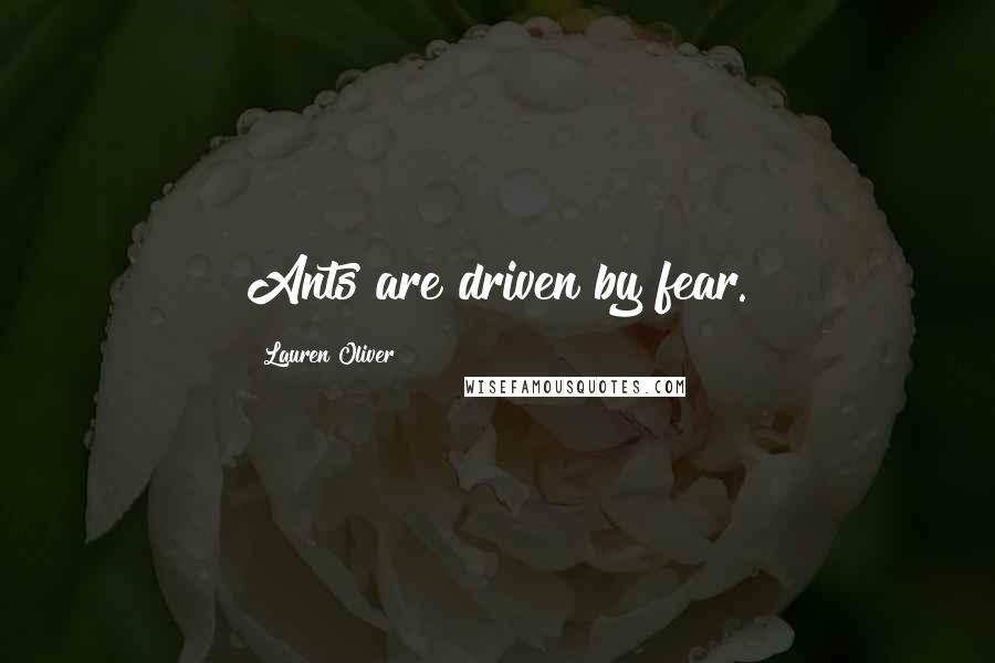 Lauren Oliver Quotes: Ants are driven by fear.