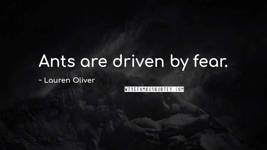 Lauren Oliver Quotes: Ants are driven by fear.