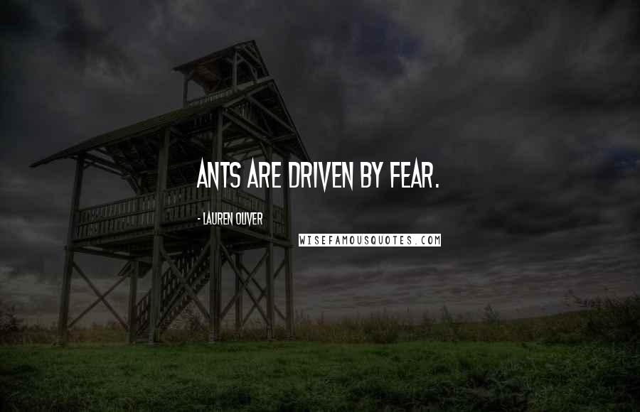 Lauren Oliver Quotes: Ants are driven by fear.
