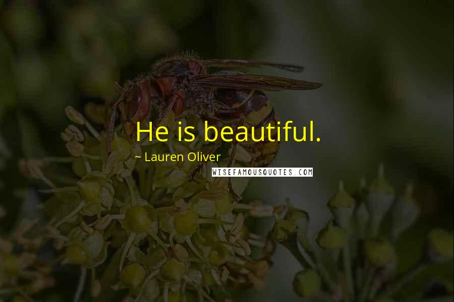 Lauren Oliver Quotes: He is beautiful.