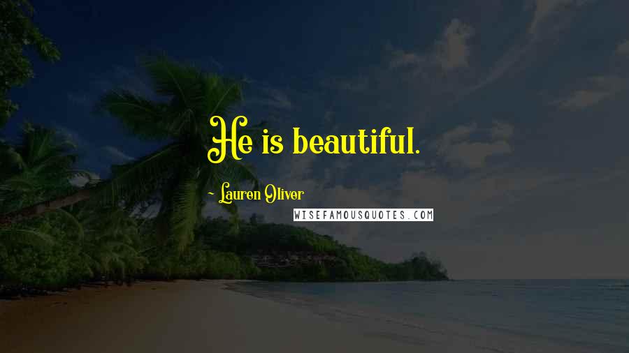 Lauren Oliver Quotes: He is beautiful.