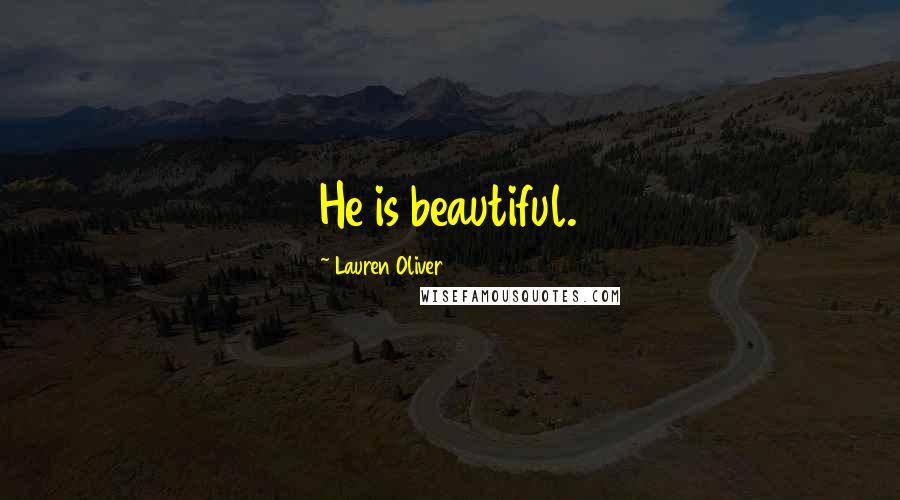 Lauren Oliver Quotes: He is beautiful.