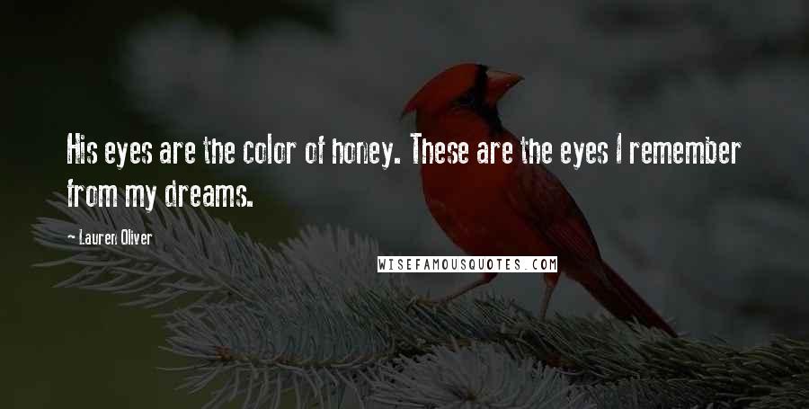 Lauren Oliver Quotes: His eyes are the color of honey. These are the eyes I remember from my dreams.